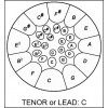 Tenor Lead Low C + sticks - Powder coated