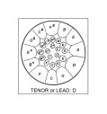 Tenor Lead High D + sticks - Chromed - Import