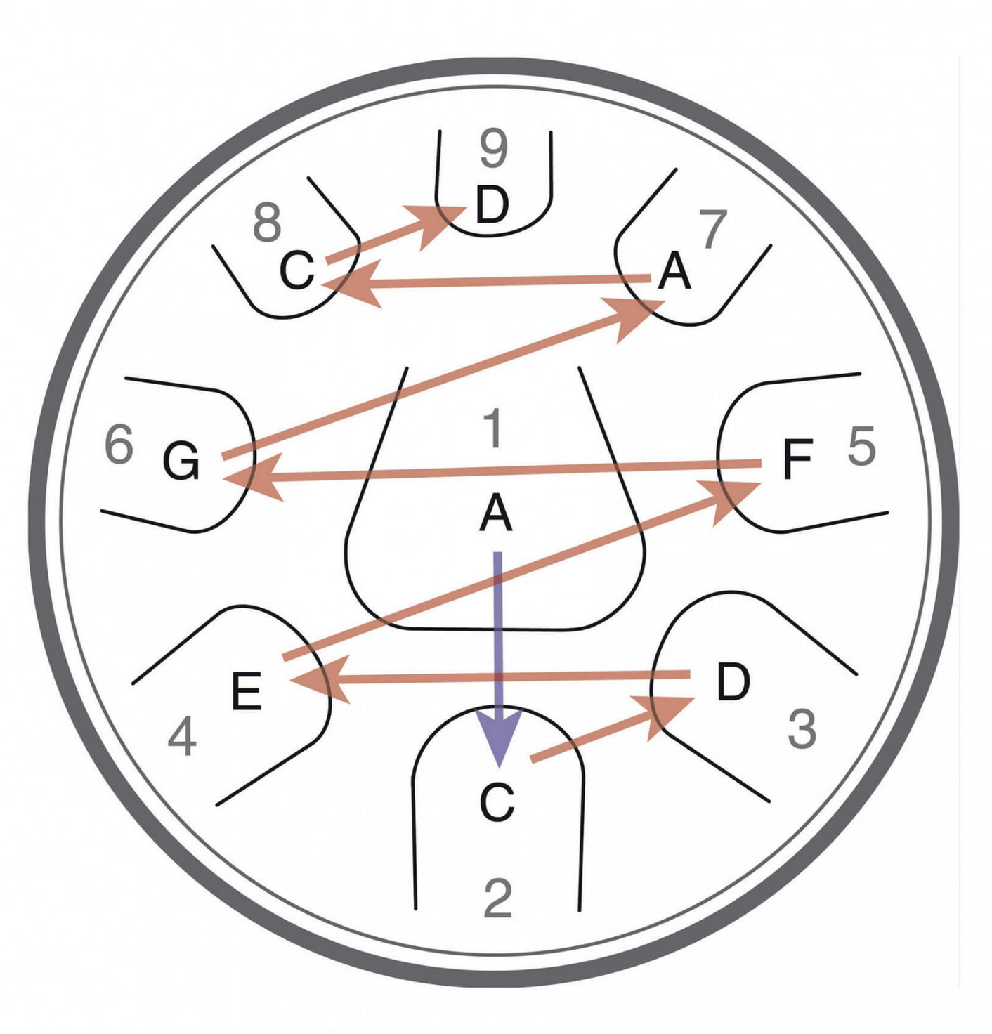 Disposition notes Zenko Celtic Mineur